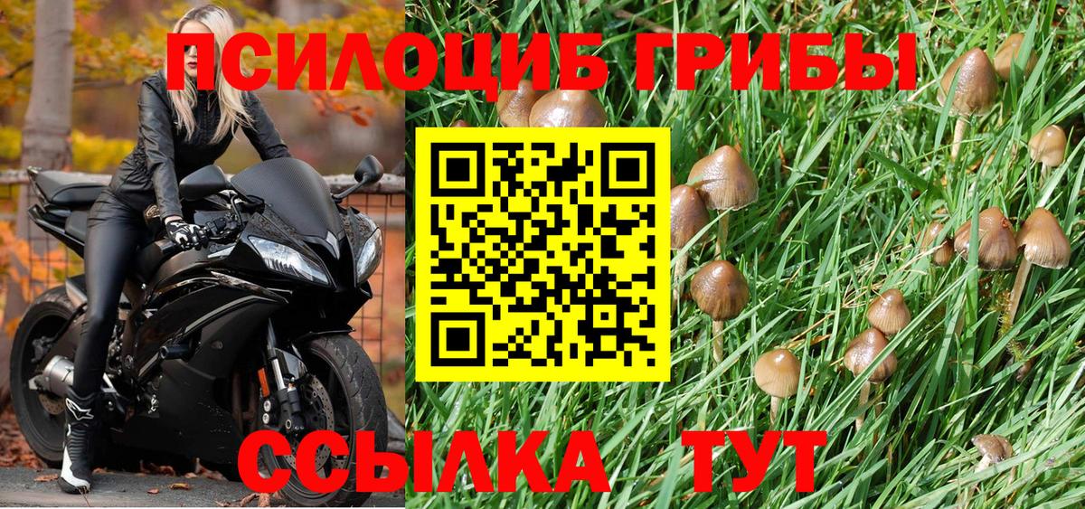 Псилоцибиновые грибы Cubensis Ярославль