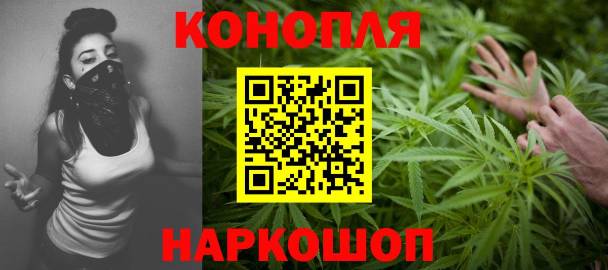 Бошки марихуана план  МАРИХУАНА SATIVA & INDICA  Ярославль  Вход с VPN  Бошки Шишки сатива  Канабис гибрид 